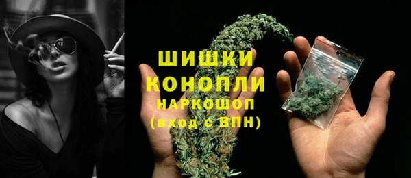 крисы Осинники