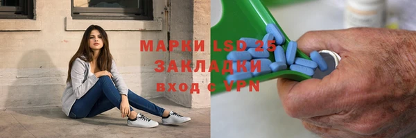 крисы Осинники