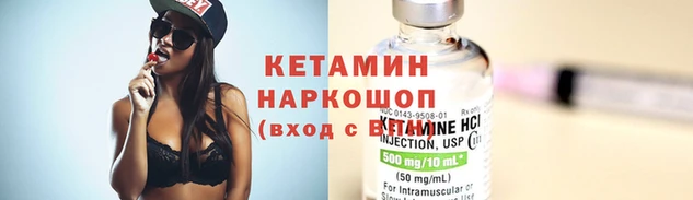 крисы Осинники