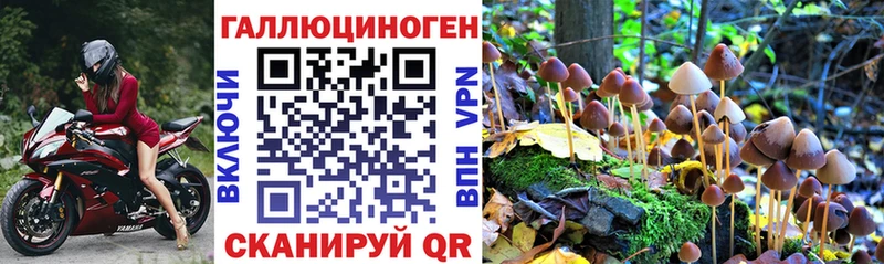 Псилоцибиновые грибы GOLDEN TEACHER Льгов