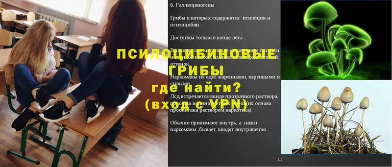 Псилоцибиновые грибы ЛСД  Льгов 